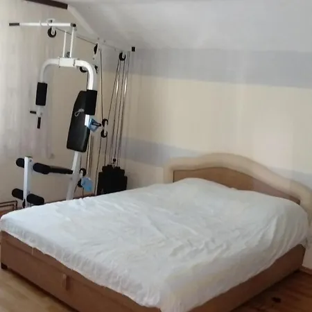 Apartman Saric *