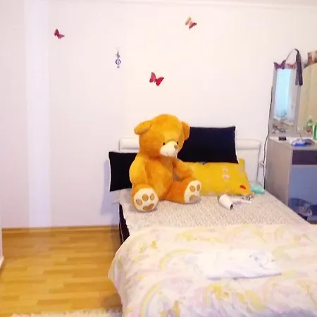 Apartman Saric Villa *
